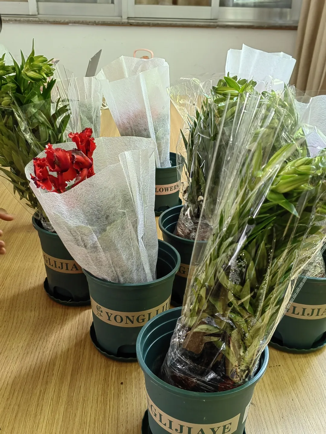 636190b5a1430e1b7dcff0bae4db174.jpg 图片